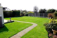 lovely lush lawn treated by GreenThumb Denbighshire