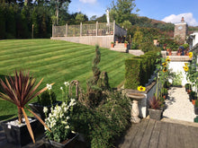 beautiful lawn surrounded by plants treated by GreenThumb Falkirk