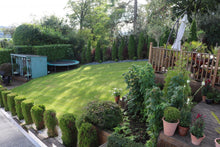 lush lawn with plants treated by GreenThumb Falkirk