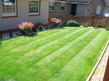 lawn with stripes treated by GreenThumb Falkirk