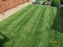 small lawn with stripes treated by GreenThumb Falkirk