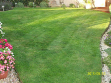small green lawn treated by GreenThumb Falkirk