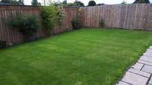 A beautiful new build lawn treated by the GreenThumb Redditch team