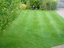 A lovely lawn treated by GreenThumb Notts North