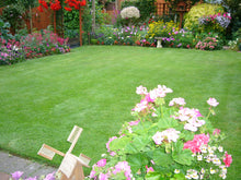 Beautiful summer garden with lawn treated by GreenThumb Notts North