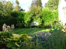 Beautiful garden with a healthy lawn treated by GreenThumb Oxford