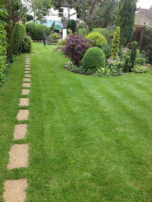 A lovely garden with lawn treated by the team at GreenThumb Croydon and Bromley