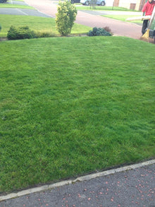 A lovely small lawn treated by GreenTumb Redcar