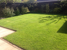 Fantastic looking lawn treated by GreenThumb Redcar