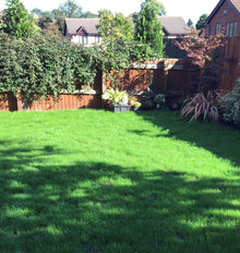 Green lawn treated by GreenThumb Notts South