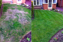 Before and after GreenThumb Solihull treatments