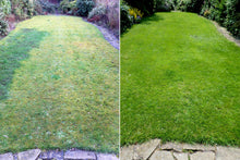 Before and after treatments by the GreenThumb Solihull team
