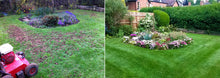 A lawn transformed after being treated by GreenThumb Solihull
