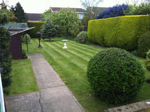 Stripes on a lawn treated by GreenThumb Southend North