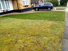 GreenThumb Lawn treated by Southend North vs non GreenThumb Lawn 