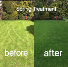 Before and after a Spring treatment by the team at GreenThumb Croydon and Bromley