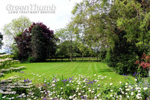 large lush lawn with stripes treated by GreenThumb Denbighshire
