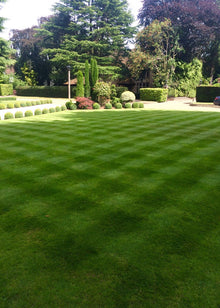 Checkerboard mowing pattern on a lawn treated by GreenThumb Croydon and Bromley