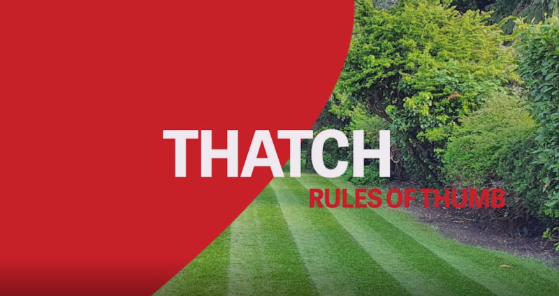Load video: Watch our Rules of Thumb video on Thatch here: