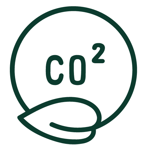 c02 icon