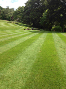 Beautiful striped lawn from GreenThumb Wakefield