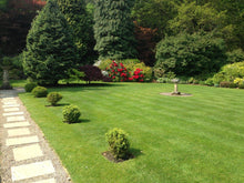 large summer lawn treated by GreenThumb Wharfedale