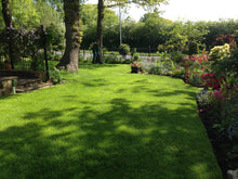 vibrant lawn treated by GreenThumb Wharfedale