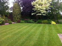 green lawn with stripes treated by GreenThumb Wharfedale
