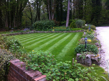 lush lawn surrounded by plants treated by GreenThumb Wrecsam