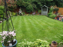 small lush lawn treated by treated by GreenThumb Worcester