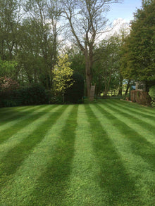 lush green lawn with stripes treated by GreenThumb Worthing