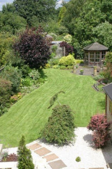 Previously brown and patchy, now green and healthy after treatments by GreenThumb Leicestershire West