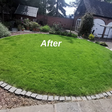 Lush green lawn after a Lawn Makeover by GreenThumb Leicestershire West