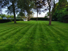A large beautiful lawn treated by GreenThumb Birmingham North