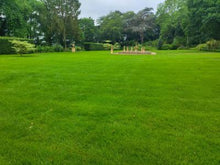 A large healthy lawn treated by GreenThumb Birmingham North