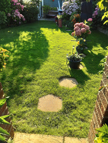 beautiful green  lawn treated by greenthumb chichester