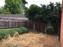 Dead lawn before treatments by GreenThumb Leicestershire West