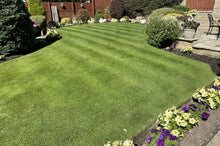 A lovely healthy lawn treated by GreenThumb Cleckheaton