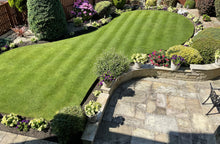 Stripes on a lawn that is treated by GreenThumb Cleckheaton