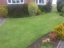 A previously rown and patchy lawn, now lush and green after being treated by GreenThumb Cleckheaton