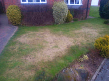 A lawn that is brown and patchy before being treated by GreenThumb Cleckheaton
