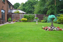 Vibrant green lawn treated by GreenThumb Epsom