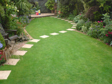 A great looking lawn with stepping stones. Lawn is green and healy and treated by GreenThumb Croydon and Bromley