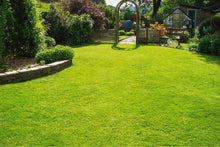Lush lawn after it was treated by GreenThumb Halifax