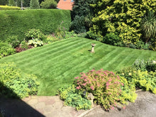 Lawn with stripes by GreenThumb Harrogate