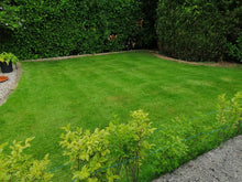 Small lush lawn by GreenThumb Harrogate