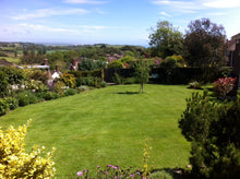 Lush green lawn by GreenThumb Hastings