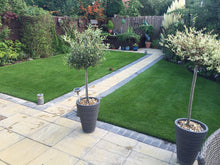 small lush lawn with plants treated by GreenThumb Denbighshire