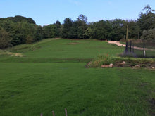 Large lush lawn after treatment by GreenThumb Lancashire West. 