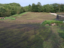 Large lawn before treated by GreenThumb Lancashire West. 